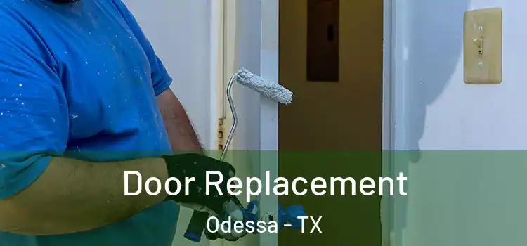 Door Replacement Odessa - TX