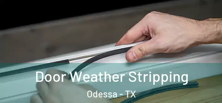 Door Weather Stripping Odessa - TX