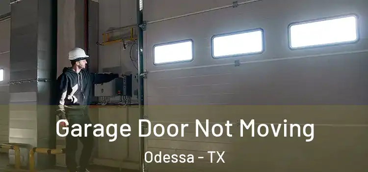  Garage Door Not Moving Odessa - TX