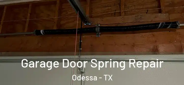  Garage Door Spring Repair Odessa - TX