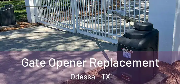  Gate Opener Replacement Odessa - TX