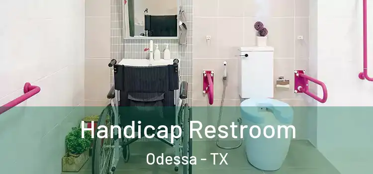 Handicap Restroom Odessa - TX