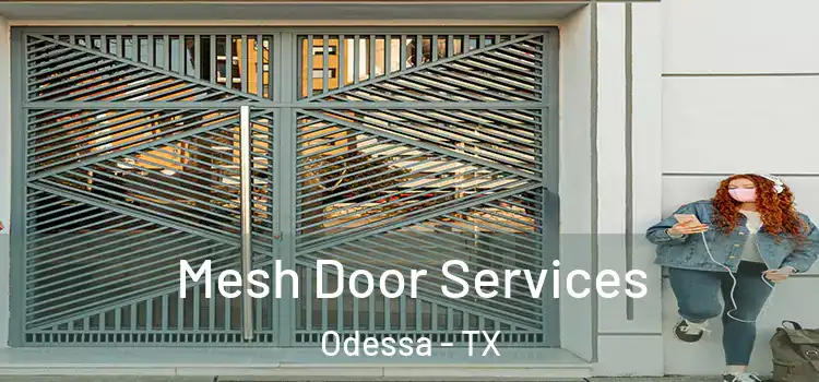  Mesh Door Services Odessa - TX