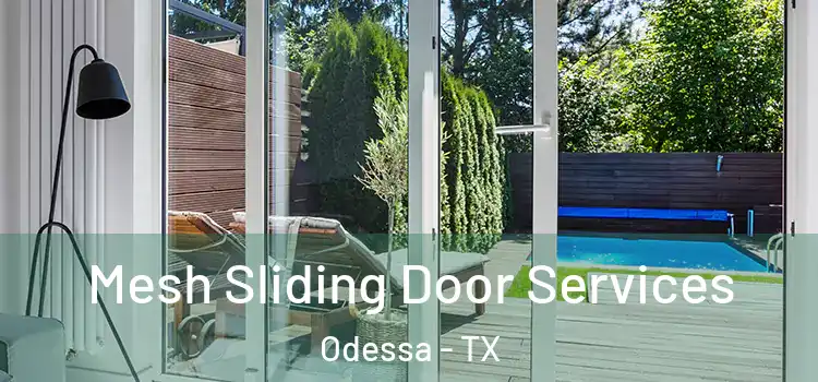 Mesh Sliding Door Services Odessa - TX