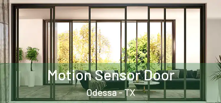 Motion Sensor Door Odessa - TX